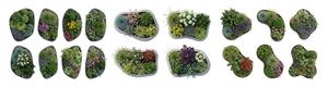 landscape design